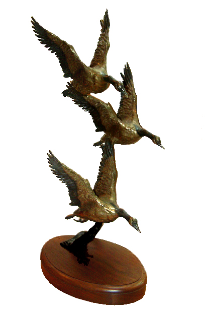 Canada Geese in Flight (Bob Winship)