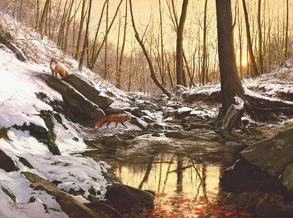 Red Fox Creek (Paul McGehee)