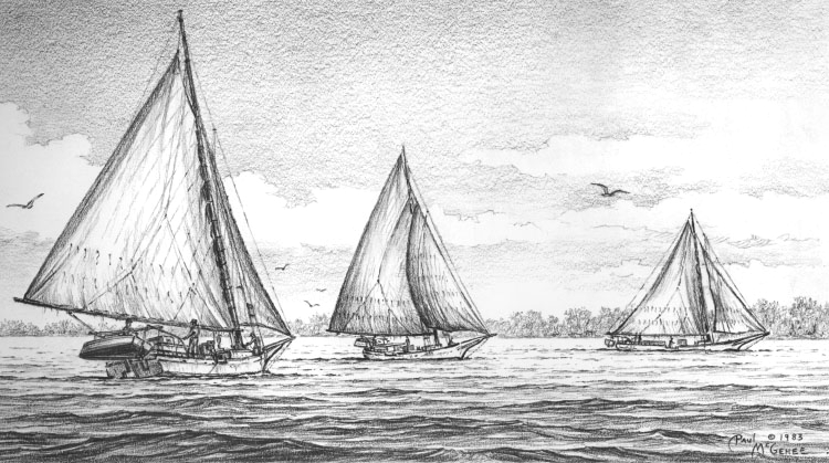 Skipjacks of the Chesapeake Bay (Paul McGehee)