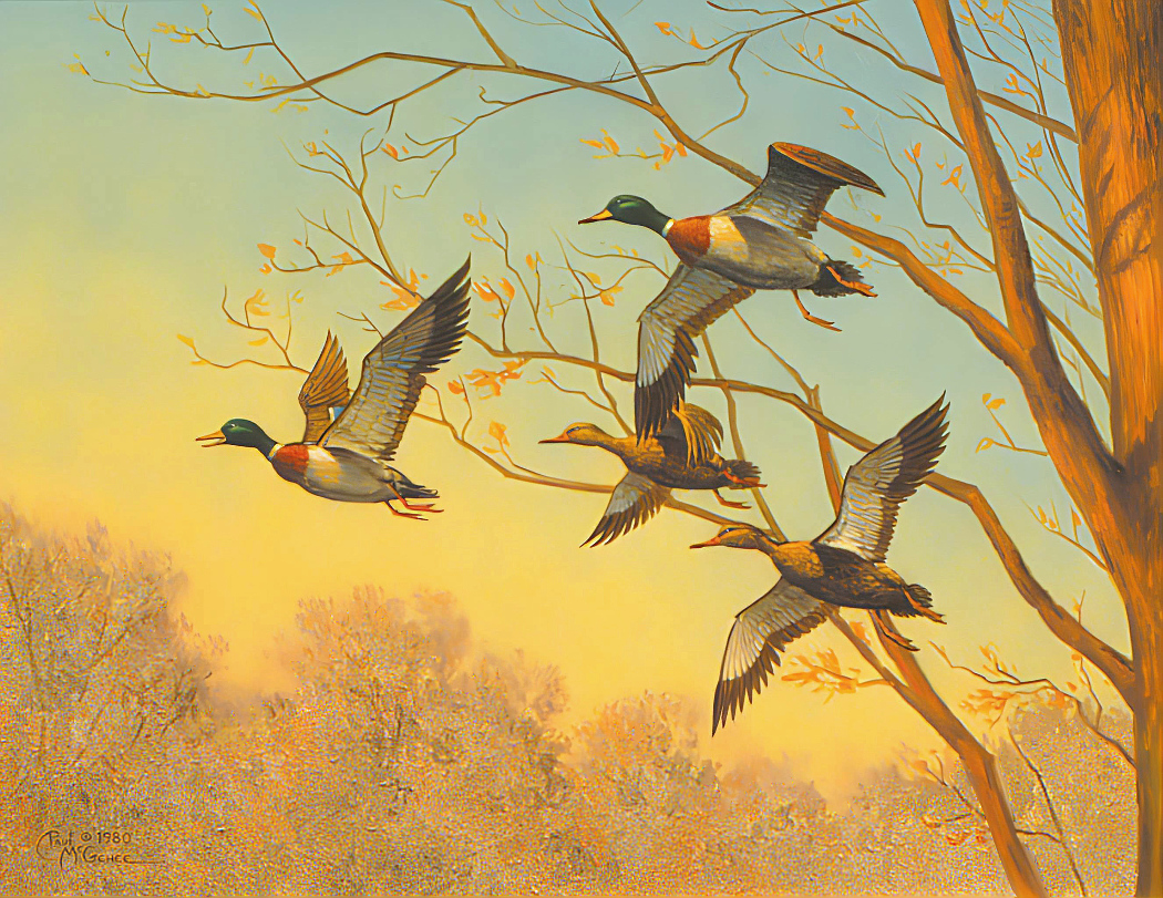 Sunset Mallards (Paul McGehee)