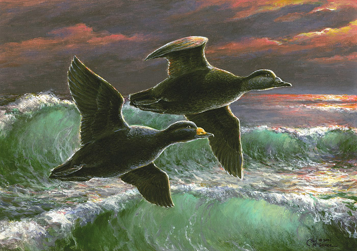 Wings of the Surf (Paul McGehee)